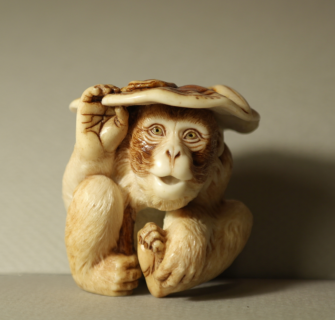 Monkey and reishi002a